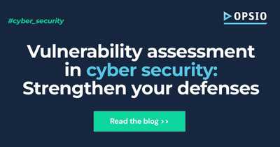 Vulnerability Assessment in Cyber Security
